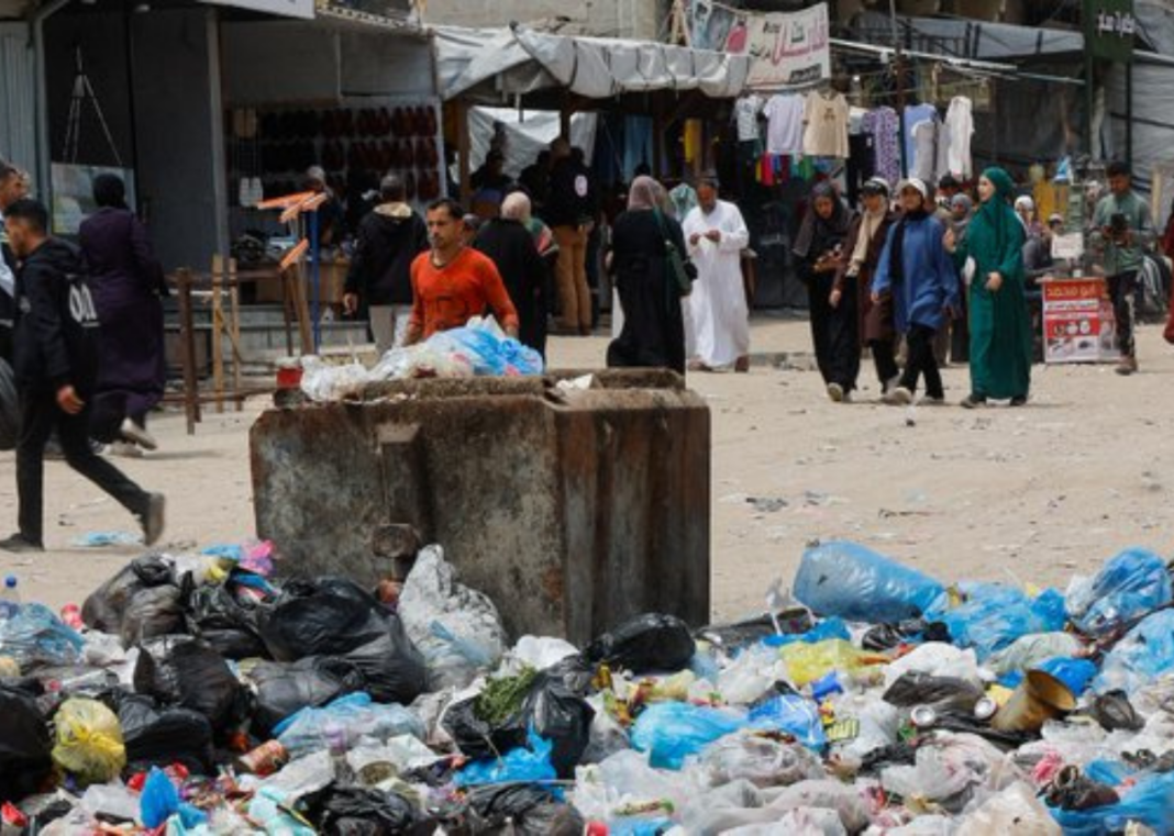 Rats Overrun Gaza’s Displacement Camps, Deepening Humanitarian and Health Crisis Rats Overrun Gaza’s Displacement Camps, Deepening Humanitarian and Health Crisis