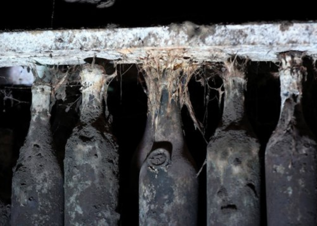 Stalin’s Rare Wine Collection Goes to Auction in Tbilisi Stalin's Rare Wine Collection Goes to Auction in Tbilisi