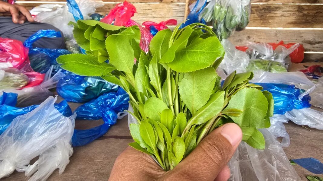 Yemenis Risk Lives Smuggling Qat Into Saudi Arabia Yemen crisis, Saudi Arabia border, qat trade