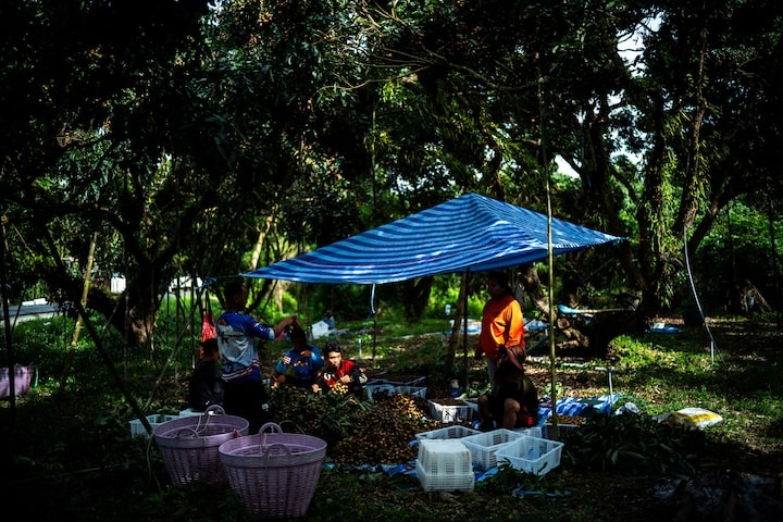 UN Says Thai Refugee Jobs Program Can Guide Asia Thai refugee employment, UNHCR, refugee integration Asia
