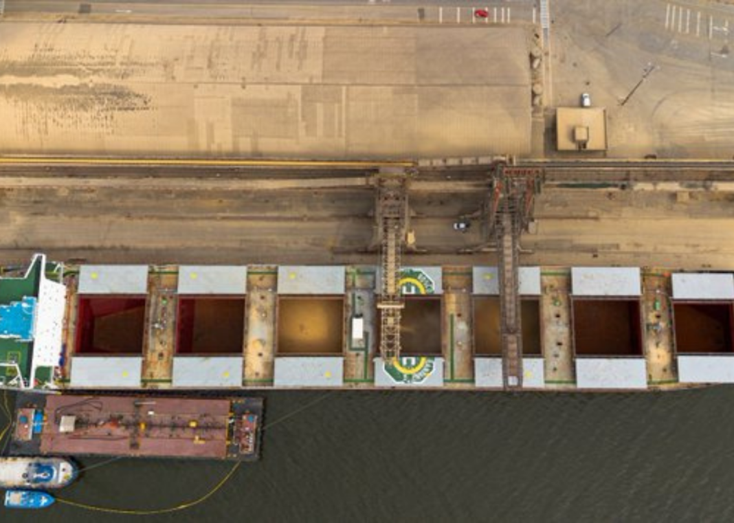 Brazil Posts $7.82bn May Trade Surplus Amid New US Tariff Threat