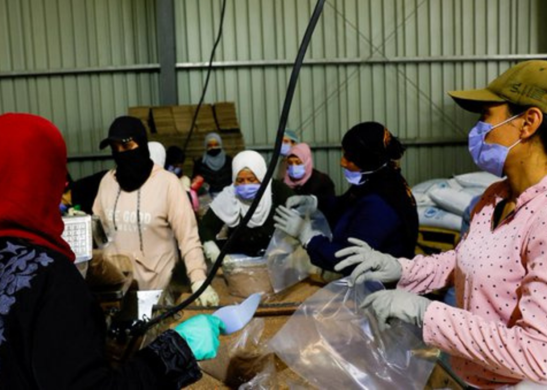 UN Tells Security Council Syria's Sweida Roadmap Has Stalled