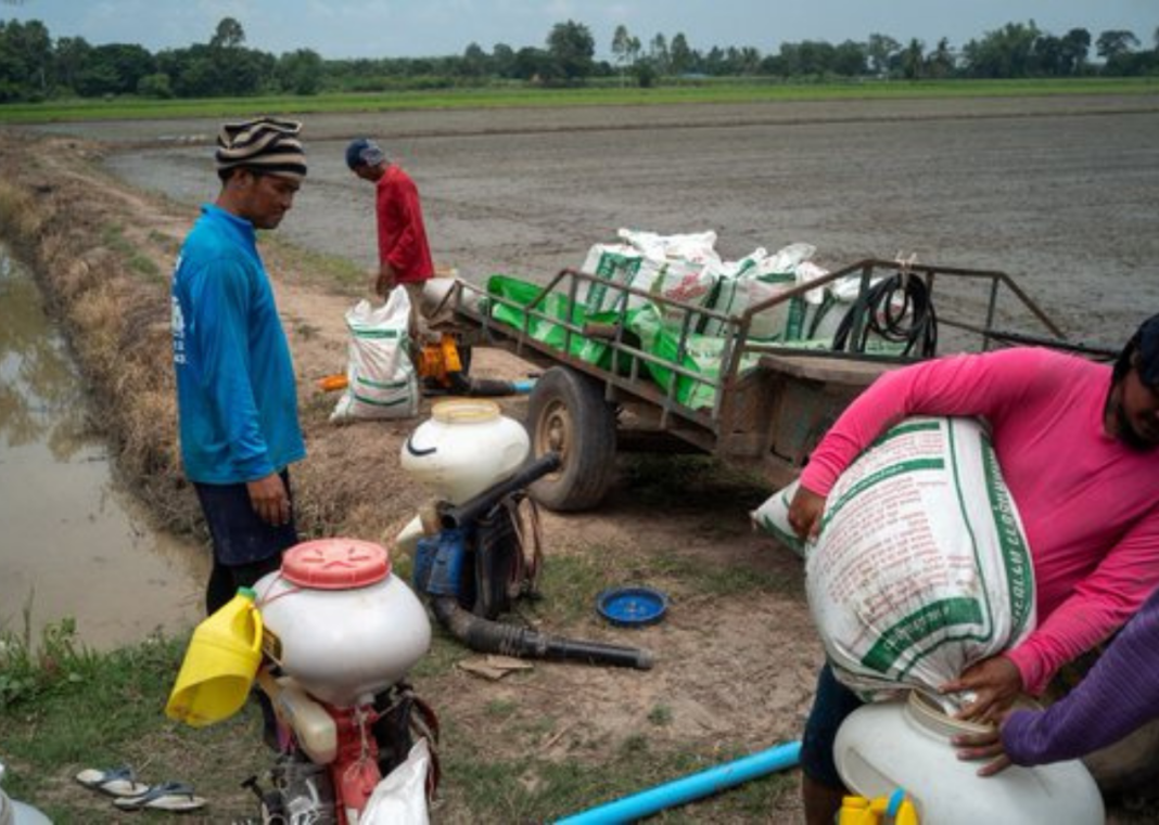 Iran War Price Shock Deepens Thailand’s Farm Debt Crisis Iran War Price Shock Deepens Thailand's Farm Debt Crisis