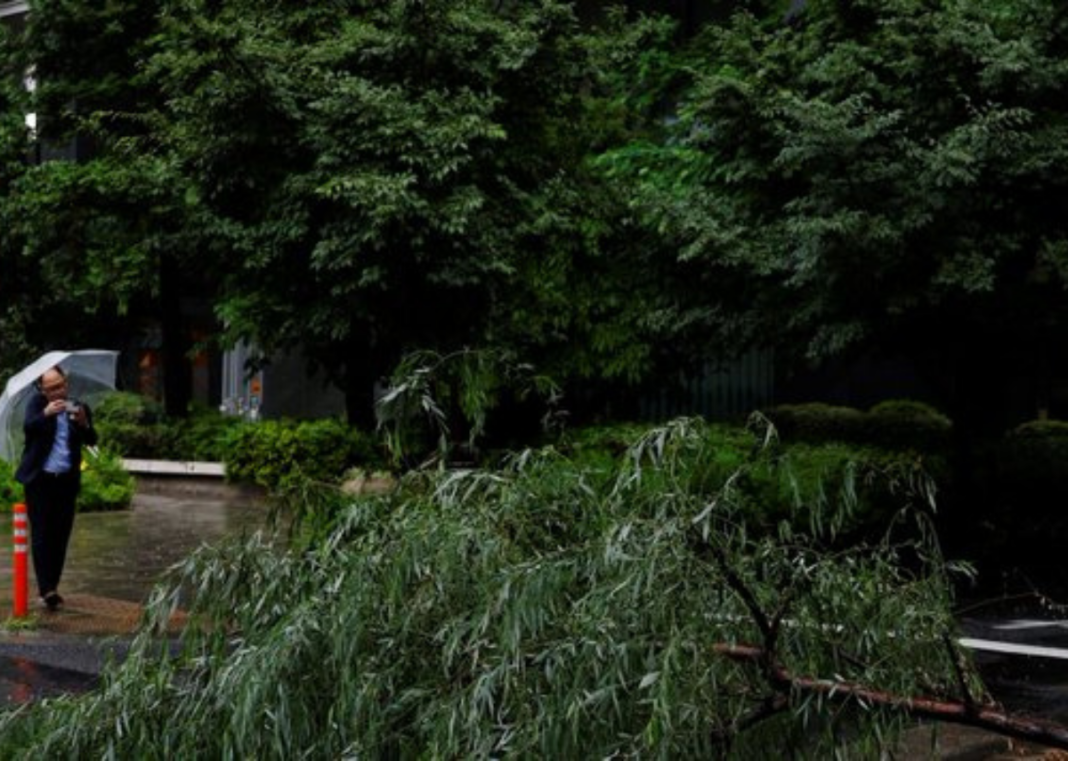 Storm Jangmi Hits Japan, Knocks Out Power to 60,000 Homes